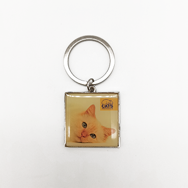  Keychain